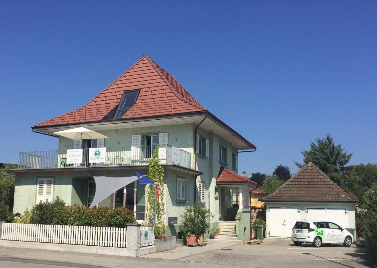 Bnb Hopfengruen ランゲンタール エクステリア 写真